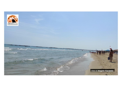 Pescara centro, ruba in uno stabilimento borsello con i contanti. Preso poco dopo con la refurtiva.
