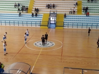 PalaRoma arriva il Torresavio Cesena