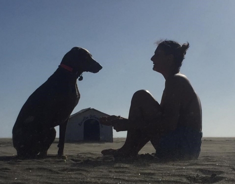 Corso per dog manager