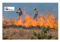 Incendi Abruzzo: in due mesi bruciati 2.532 ettari, pari a 3.546 campi da calcio, gran parte in aree protette.