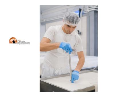 Latte made in Italy, laboratorio di caseificazione e transumanza