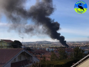 Città Sant'Angelo, incendio sulle sponde del Saline