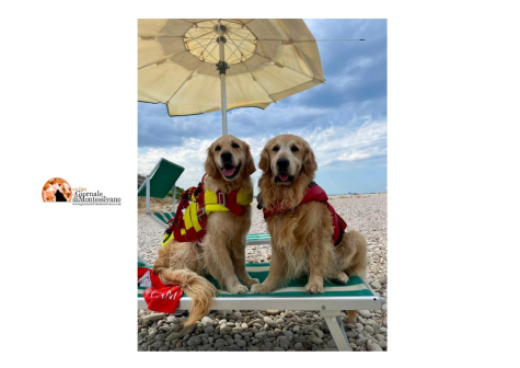 XXIIª Edizione Manifestazione “Papà ti salvo io” Lifeguard