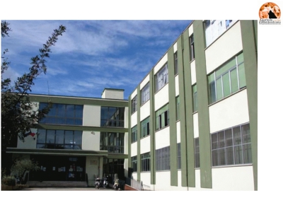 Pescara. Consegnati i lavori della scuola media Michetti