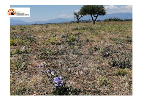 “I Parchi cittadini di Pescara - la biodiversità sotto casa”