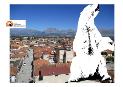 Orsa Amarena/sit in del 23 settembre. Denunciati 6 attivisti, infrangono prescrizioni Questore.