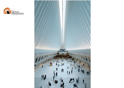 Covid/Nu. Identificata in Sudafrica una nuova variante a 32 mutazioni Spike. Un caso in Europa.