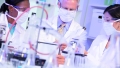 Cavie umane per testare farmaci.