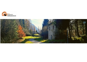 Immobili di Stato in concessione: ecco quali sono per recupero, riuso, max 50 anni.