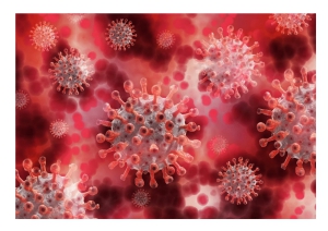 Covid19/Abruzzo. 541 nuovi casi e 2 decessi oggi