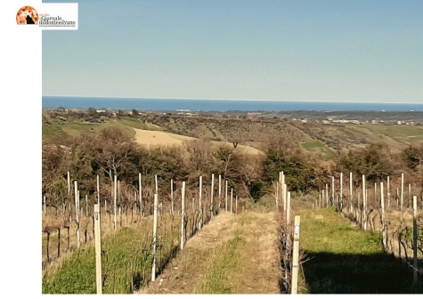 Scerni, una Campestre in omaggio alla ventricina