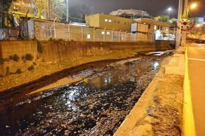 foto vigili del fuoco