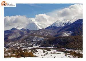 Abruzzo, tra i provvedimenti della Giunta: oltre 187mila euro a L'Aquila per “Piani Forestali di Indirizzo Territoriale”.