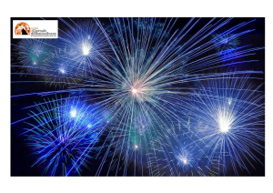 Pescara, sequestrati ordigni esplosivi di Capodanno venduti senza licenza fochino