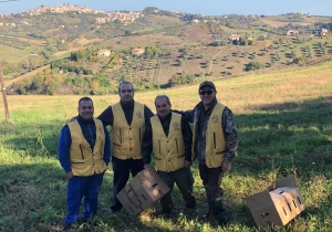 Italcaccia. 60 fagiani liberati in provincia di Pescara, "pronta caccia"