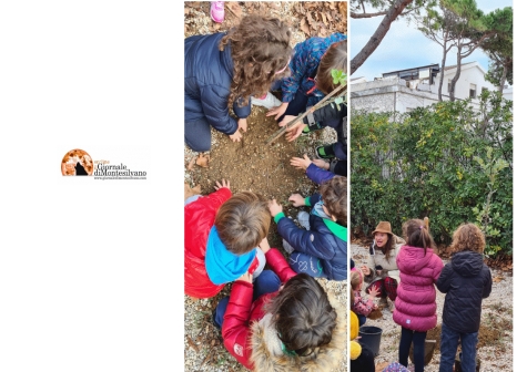 Festa dell&#039;Albero 2021. Co.n.al.pa. dona sette nuovi alberi alle scuole di Francavilla al Mare
