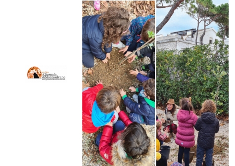 Festa dell'Albero 2021. Co.n.al.pa. dona sette nuovi alberi alle scuole di Francavilla al Mare