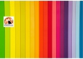Pescara/LGBTQ+, comune dice no alle panchine arcobaleno.