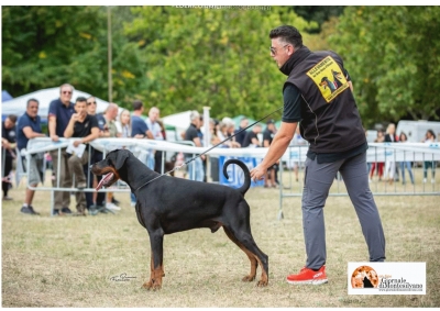 Grande risultato per la cinofilia abruzzese in Croazia