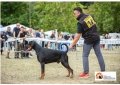 Grande risultato per la cinofilia abruzzese in Croazia