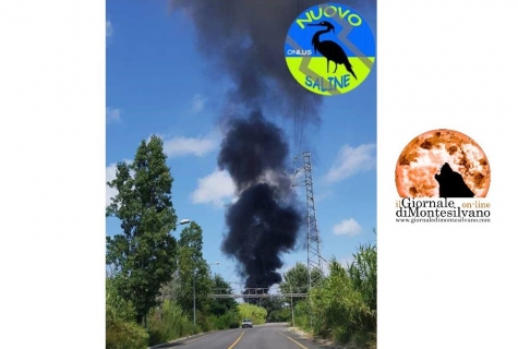 la foto postata sul social da Nuovo Saline