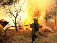 Abruzzo devastato dagli incendi: Trasacco 50 ettari bruciati