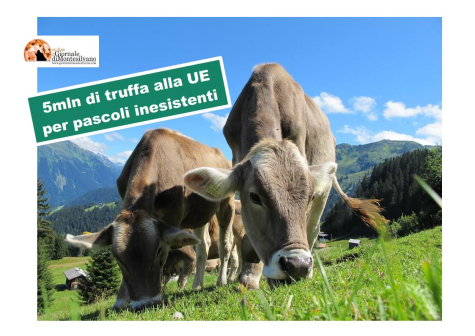 Pescara. Maxi truffa da 5 mln di euro a Bruxelles per pascoli inesistenti