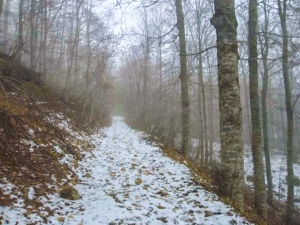 Riserva Naturale di Lama Bianca, sentieri accessibili per i diversamente abili