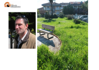 Montesilvano, Bucci M5S denuncia: "erba alta e degrado, gestione parchi non funziona".