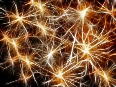 Cervello, ora si può ascoltare la sinfonia delle sinapsi