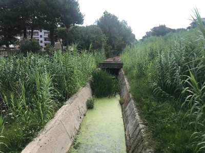 Pescara. Sopralluogo al canale Q10.