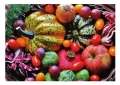 Decreto cibo. Spesa, per ogni euro solo 15 centesimi agli agricoltori