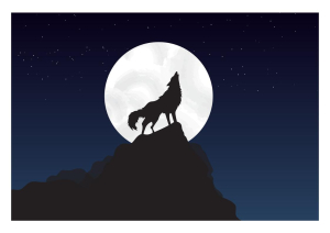 Di Lupo e di Mare: Storie d'Abruzzo tra Mitologia e Realtà