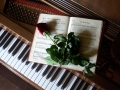 Pianella,libri, musica e poesia.