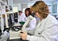 Abruzzo/ Nuovi ospedali in project financing, dubbi su gestione pubblico-privato servizi
