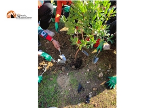 Corbezzolo! Festa dell'Albero del Co.n.al.pa. Pescara al Liceo Artistico MIBE.