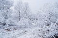 Abruzzo, temperature sotto lo zero.