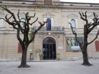 Chieti/ WWF: La gestione del verde urbano non può essere fatta soltanto di tagli