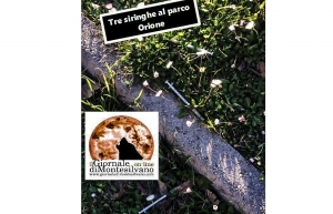 Montesilvano, tre siringhe al parco Orione. La denuncia di un residente, “basta degrado”.