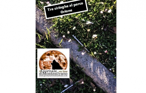 Montesilvano, tre siringhe al parco Orione. La denuncia di un residente, “basta degrado”.