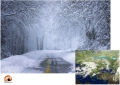 Week end con la neve anche sulla costa con i "trenini nevosi".