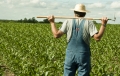 Abruzzo.Arrivano gli Oscar dell'agricoltore