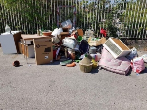 i rifiutiabbandonati abusivamente nella via