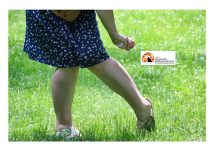 West Nile, caso confermato in una donna residente in provincia di Pescara