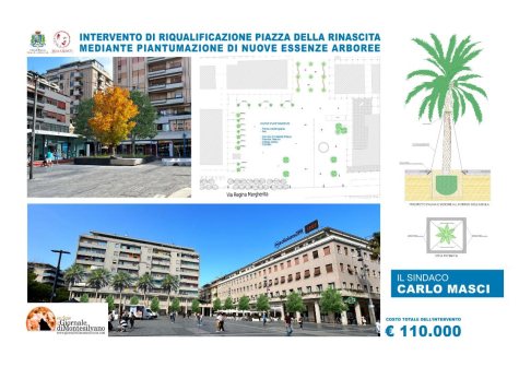 Pescara. 18 alberi a Piazza Salotto
