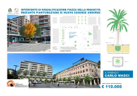 Pescara. 18 alberi a Piazza Salotto
