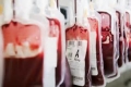 Pescara. Appello Avis: in estate urge sangue.