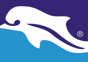 Benevento Pescara 4 0, forse l’ultima di campionato.