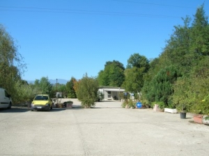 Pescara, Canile sui social, ecco i link per adottare un pelosetto