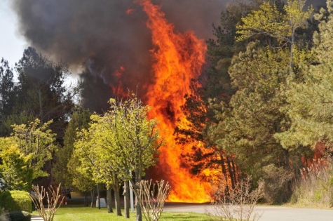 immagne generica e di repertorio